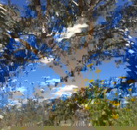 Euroa Arboretum - Accommodation Europe