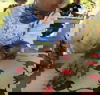 Euraba Paper Aboriginal Corporation - Events Australia