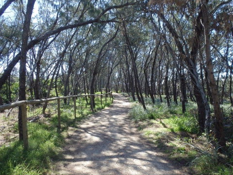 Federation Walk - Events Australia 0