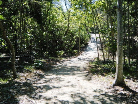 Federation Walk - Events Australia 2