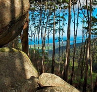 Gulaga Mountain Walk - Tourism Bookings