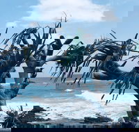 Hastings Point Beach - Events Australia