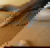 Hermannsburg Potters - Events Australia