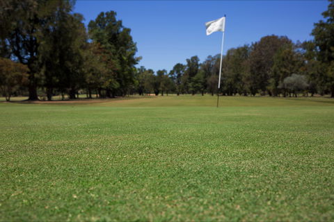Howlong Golf Resort - Tourism Bookings 2