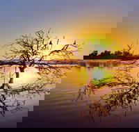 Lake Dyer - Tourism Bookings