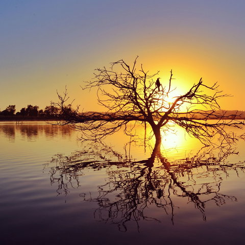 Lake Dyer - Events Australia 0