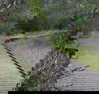 Leschenault Peninsula Conservation Park - Tourism Bookings