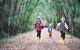 Margaret River Rails Trail - thumb 0