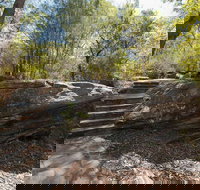 Mooney Mooney nature walk - Events Australia