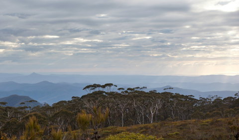 Mount Budawang Trail - Events Australia 0