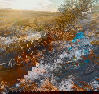 Mountain Biking in Alice Springs - Events Australia