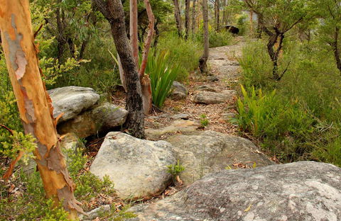 Mount Olive Trail - Events Australia 0