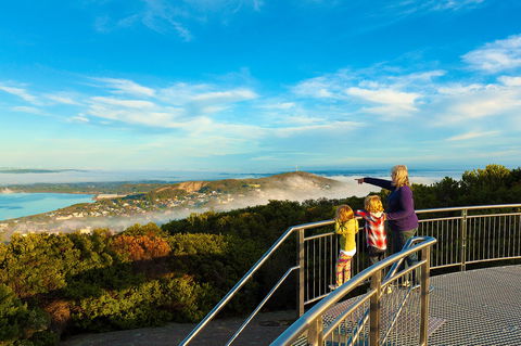 Mount Clarence - Tourism Bookings 1