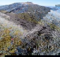 Mt Buller Bike Park - Events Australia