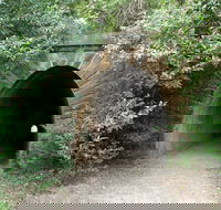 Mushroom Tunnel - Events Australia