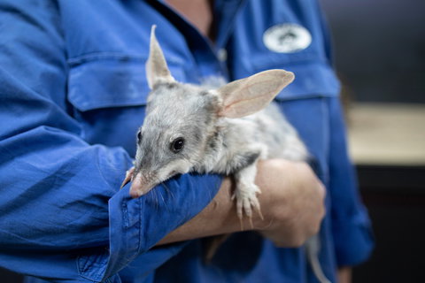 Natural Sciences Loop - Events Australia 2