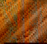 Newcastle Waters - Events Australia