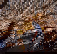 Ngilgi Cave - Events Australia