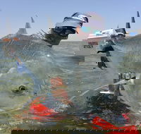 Ningaloo Fly Fishing - Events Australia