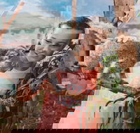 Oakvale Wildlife Park - Accommodation Europe