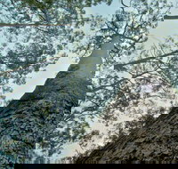 O'Sullivans Gap Picnic Area - Events Australia