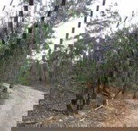 Paddys Ranges State Park - Tourism Bookings