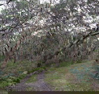 Pink Line and Loop Trail - Mountain Biking - Accommodation Europe