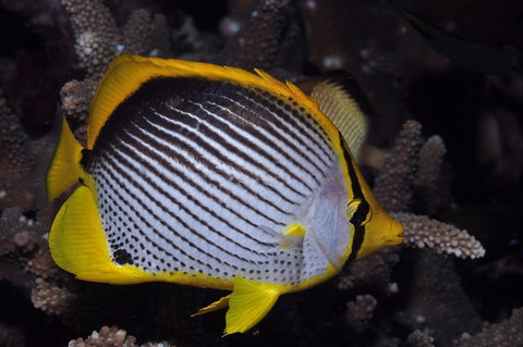 Spiders Ledge - Events Australia 0