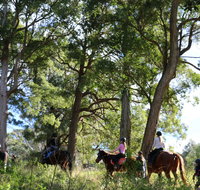 The Outlook Riding Academy