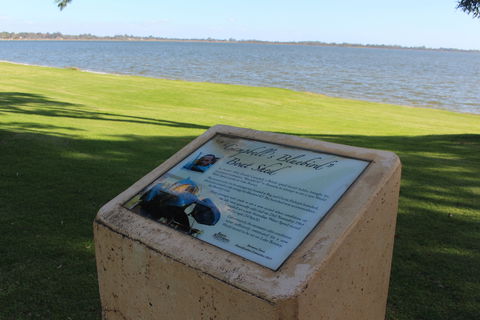 The Donald Campbell Obelisk - Events Australia 1