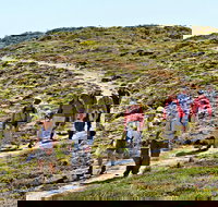 The Sole Walk at Hillocks Drive - Events Australia