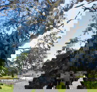 The Herbig Family Tree - Events Australia