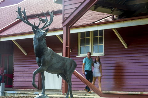 Toogoolawah - Tourism Bookings 1