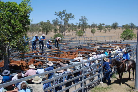 Toogoolawah - Tourism Bookings 2