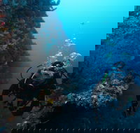 Twelve Apostles Marine National Park - Events Australia