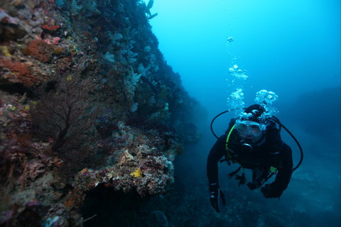 Twelve Apostles Marine National Park - Events Australia 0