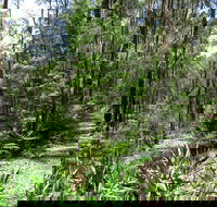 Tyers Park - Events Australia