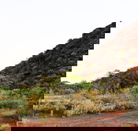 Whyalla Conservation Park - Events Australia