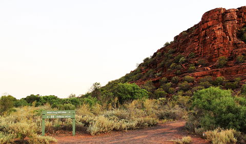 Whyalla Conservation Park - Events Australia 0