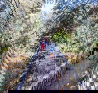 Yea Wetlands Walk - Tourism Bookings