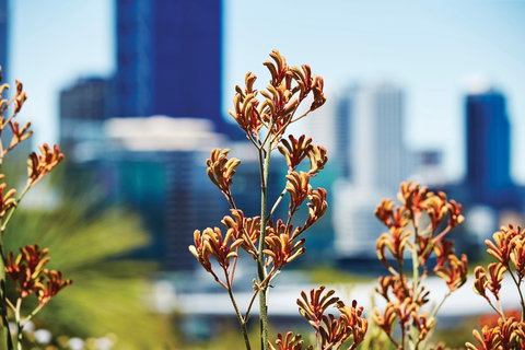 A Day In Perth - Events Australia 1