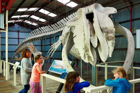 Albany's Historic Whaling Station - Tourism Bookings 2