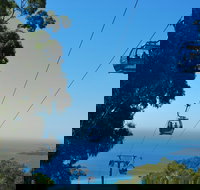 Arthurs Seat Eagle - Accommodation Europe