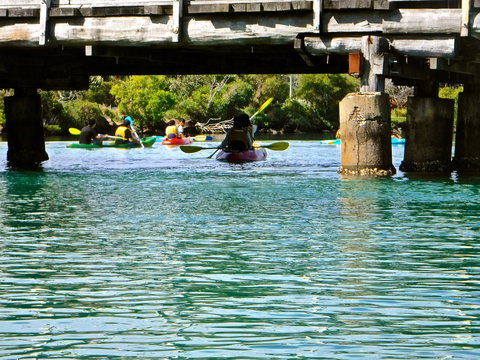 Byron Bay River Nature Kayak Tour - Events Australia 1