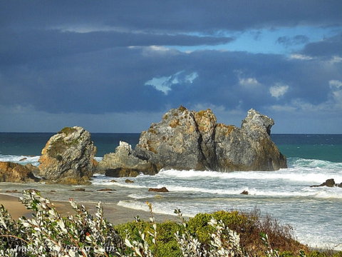 Camel Rock - Tourism Bookings 2