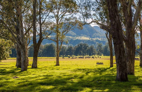Coast To The Highlands Scenic Drive – Kangaroo Valley - Events Australia 0