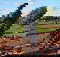 Cobar Miners Heritage Park - Events Australia