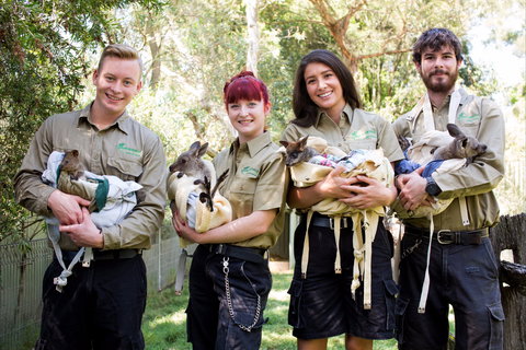 Featherdale Wildlife Park - Events Australia 0