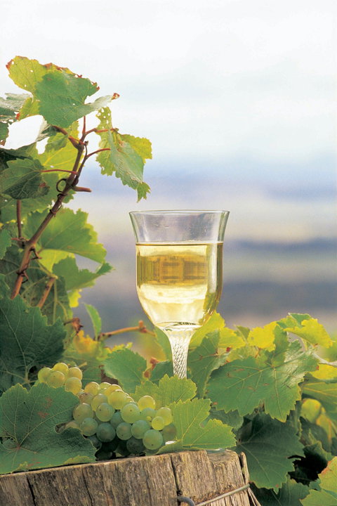 Flavours Of The Porongurup Range Trail - Events Australia 0