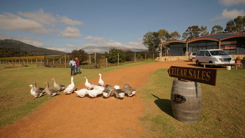 Flavours Of The Porongurup Range Trail - Events Australia 2